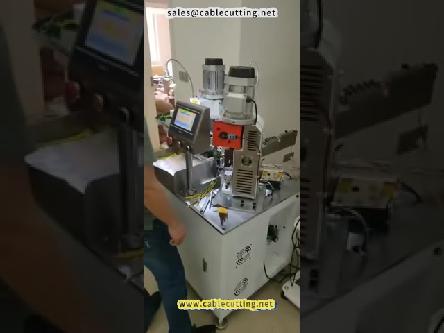 Double head Vibrating Plate Terminal Machine